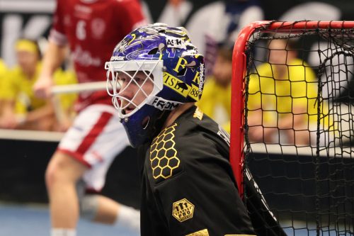 20260103 HovslattVisby 0042