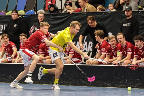 20260103 HovslattVisby 0045