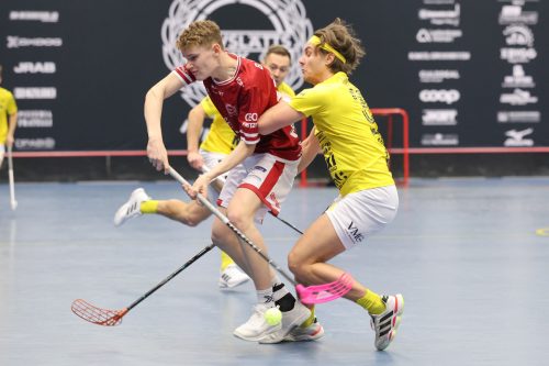 20260103 HovslattVisby 0055