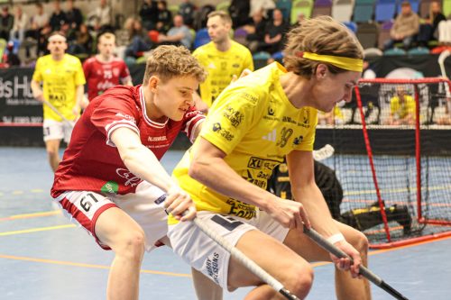 20260103 HovslattVisby 0058