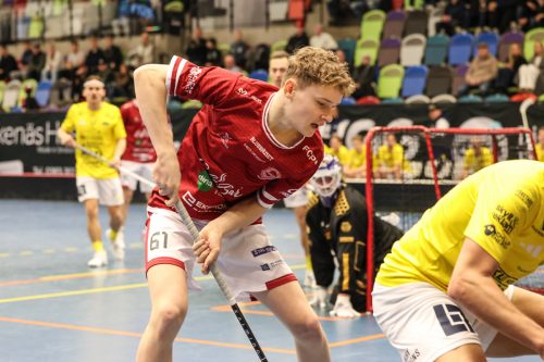 20260103 HovslattVisby 0059