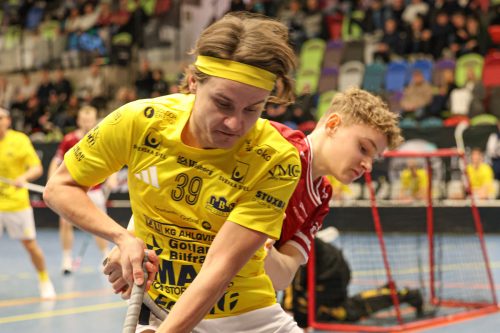 20260103 HovslattVisby 0060