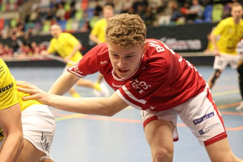 20260103 HovslattVisby 0061