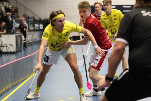 20260103 HovslattVisby 0063