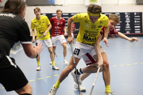 20260103 HovslattVisby 0064