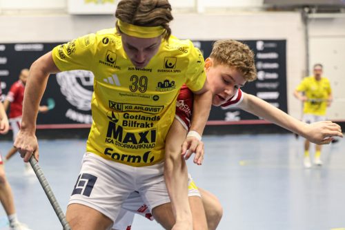 20260103 HovslattVisby 0065