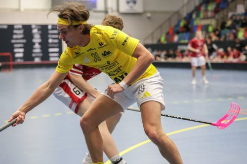 20260103 HovslattVisby 0067