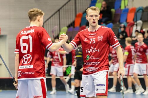 20260103 HovslattVisby 0068