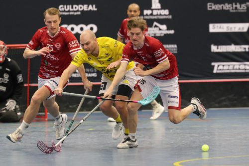 20260103 HovslattVisby 0081