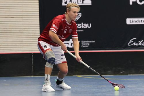 20260103 HovslattVisby 0083