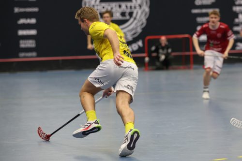 20260103 HovslattVisby 0084