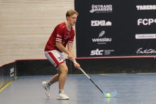 20260103 HovslattVisby 0088