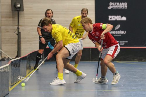 20260103 HovslattVisby 0096