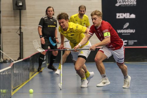 20260103 HovslattVisby 0097