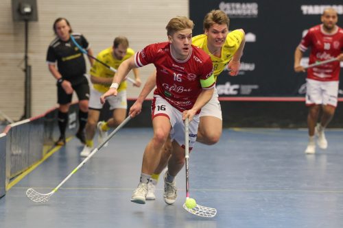 20260103 HovslattVisby 0099