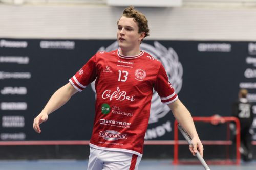 20260103 HovslattVisby 0113