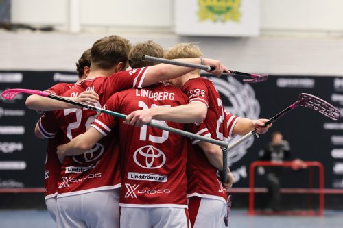 20260103 HovslattVisby 0118