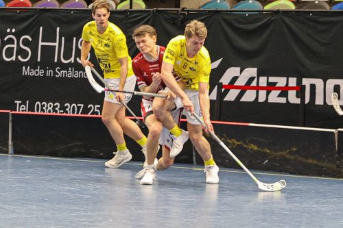 20260103 HovslattVisby 0121