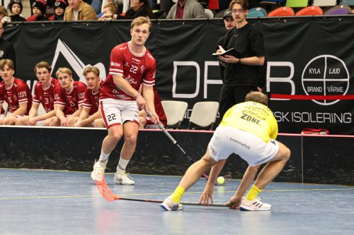 20260103 HovslattVisby 0123