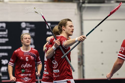 20260103 HovslattVisby 0127