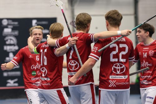 20260103 HovslattVisby 0128