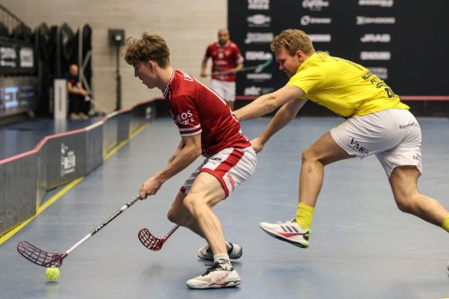 20260103 HovslattVisby 0129