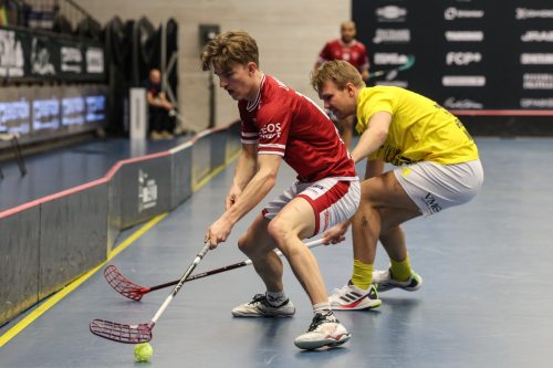 20260103 HovslattVisby 0130