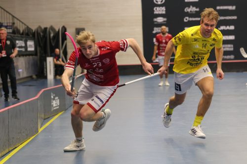 20260103 HovslattVisby 0134