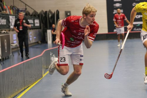 20260103 HovslattVisby 0135