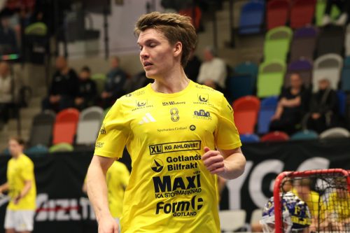 20260103 HovslattVisby 0138