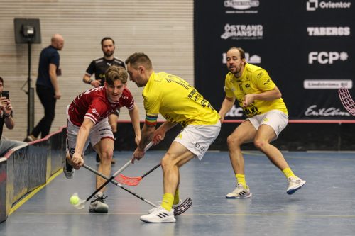 20260103 HovslattVisby 0148