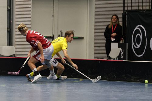 20260103 HovslattVisby 0155