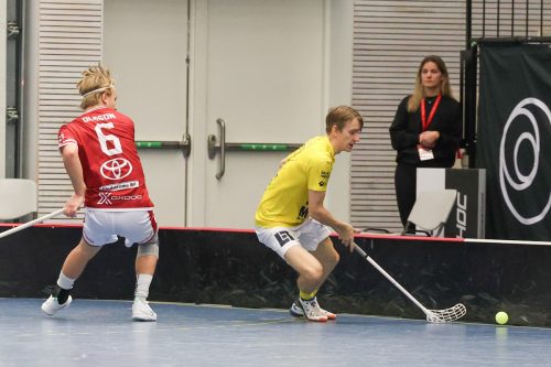 20260103 HovslattVisby 0156