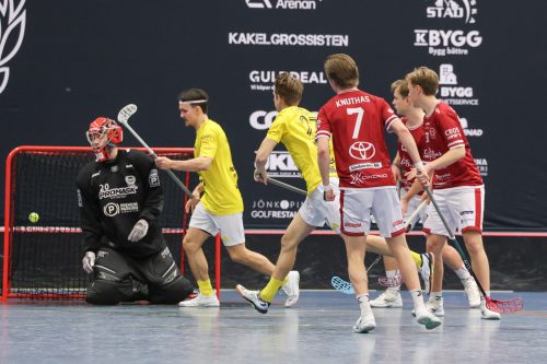 20260103 HovslattVisby 0159