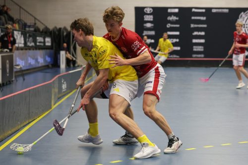 20260103 HovslattVisby 0166