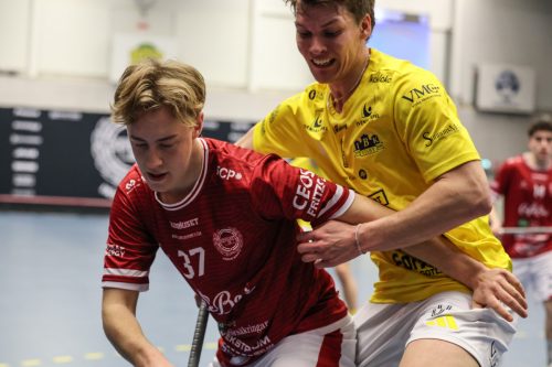 20260103 HovslattVisby 0171