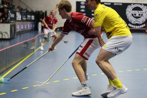 20260103 HovslattVisby 0172