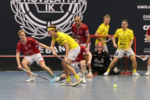 20260103 HovslattVisby 0179