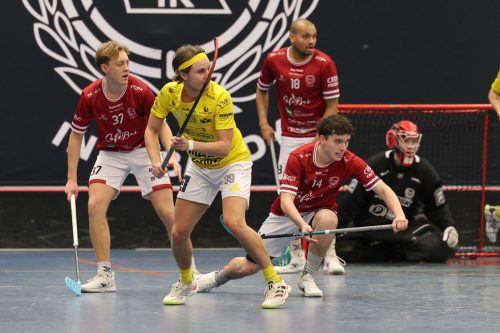 20260103 HovslattVisby 0180