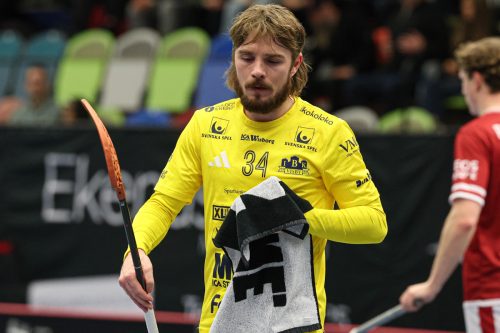 20260103 HovslattVisby 0182