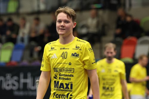 20260103 HovslattVisby 0183