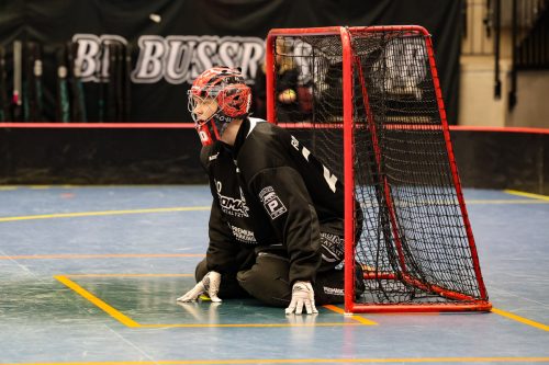 20260103 HovslattVisby 0199