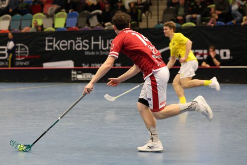 20260103 HovslattVisby 0202