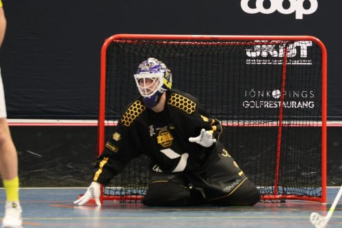 20260103 HovslattVisby 0203