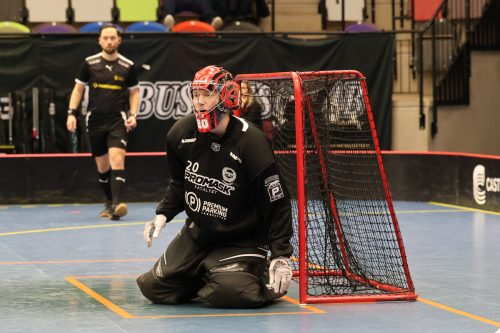 20260103 HovslattVisby 0206