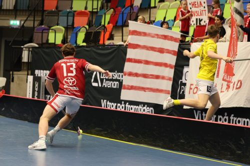 20260103 HovslattVisby 0213