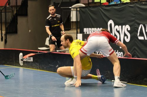 20260103 HovslattVisby 0215