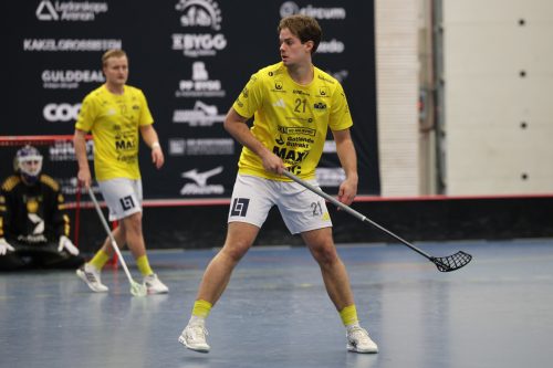 20260103 HovslattVisby 0230