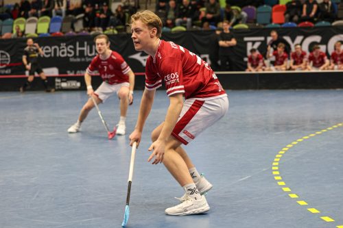 20260103 HovslattVisby 0244