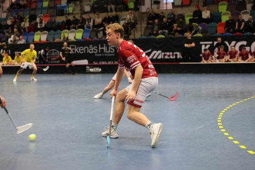 20260103 HovslattVisby 0246